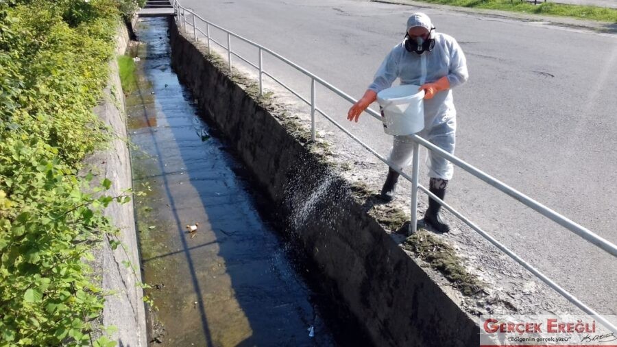 İlaçlama çalışmaları başladı…
