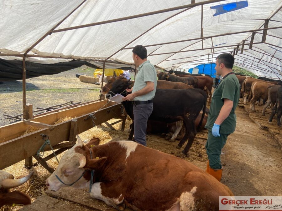 Kurban yakalama timi kuruldu…