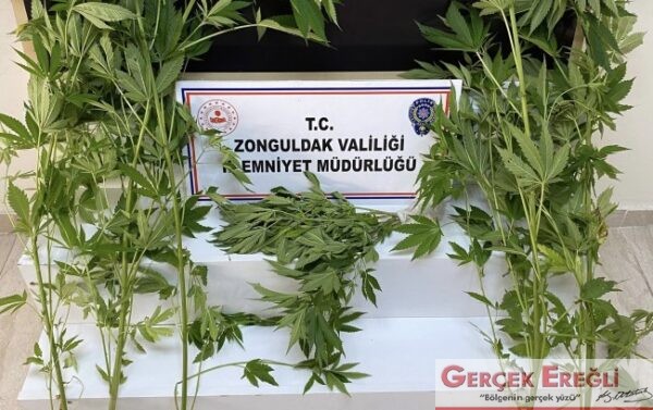 Ekiplerden operasyon…