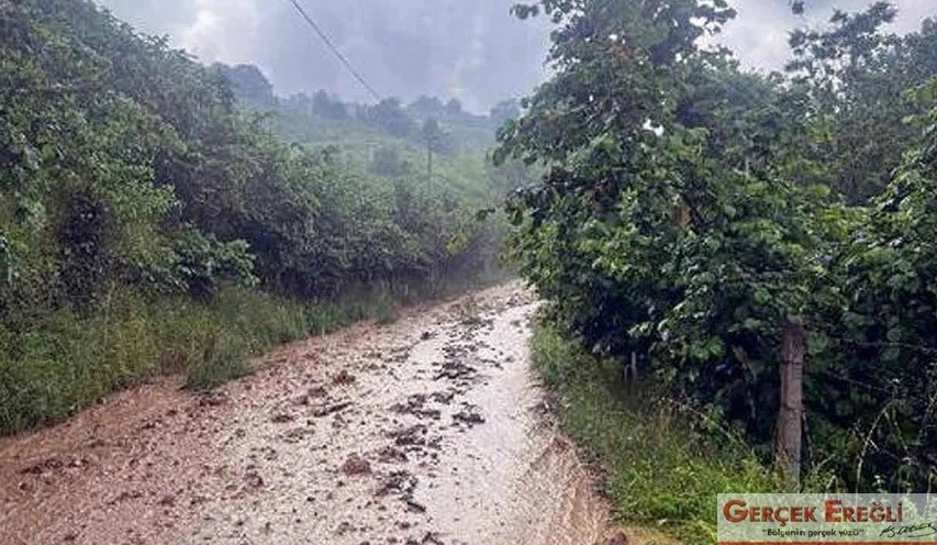 Tahliye edileceler…