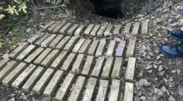 Eş zamanlı tarihi eser kaçakçılığı operasyonu yapıldı.