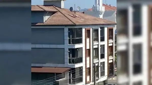 Apartman sahibine çıplak güneşlenme cezası…