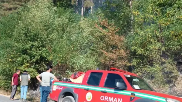 Bu kez Toyfanlı’da çıktı…