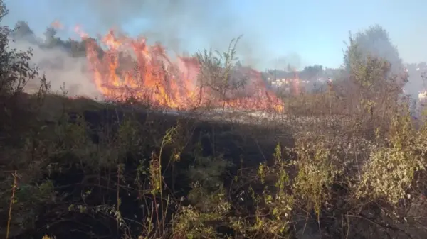 Vatandaşlara korku dolu anlar yaşattı…