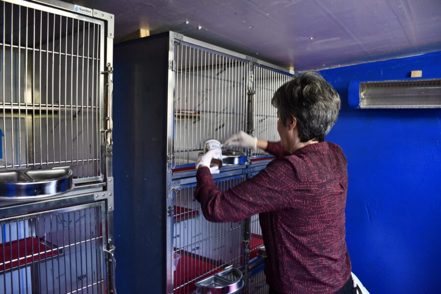 Kafesler yenilendi…