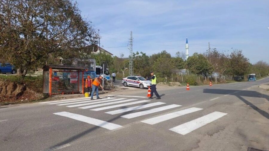 Yaya geçitleri boyandı…