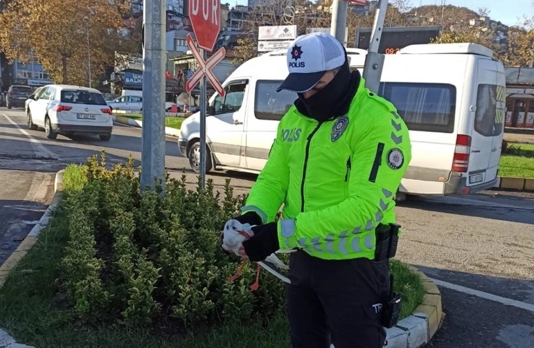 Isınması için ona yardım etti…