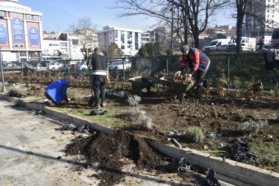 Ereğli lavanta kokacak…