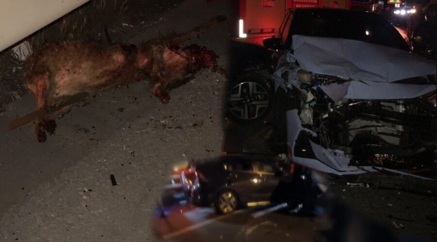 Bir anda yola çıktı, 6 kişi yaralandı…