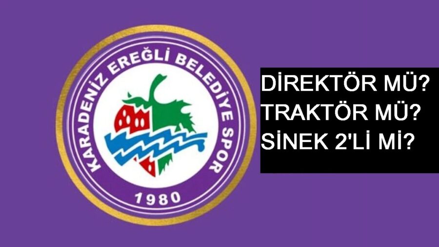 Direktör mü? Traktör mü? Sinek 2’li mi?