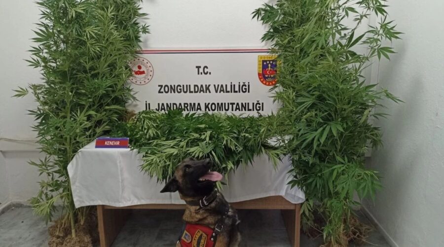 Ekipler uyuşturucuya geçit vermiyor…