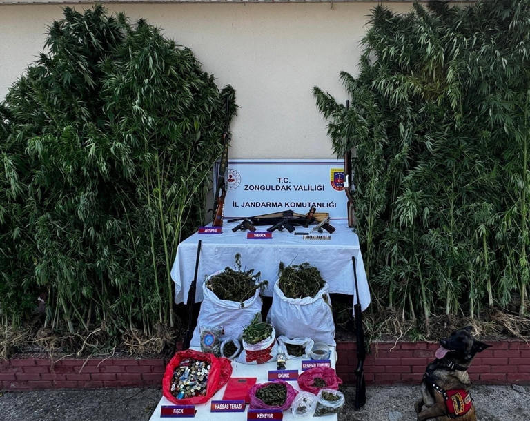 Ekiplerden uyuşturucu operasyonu…