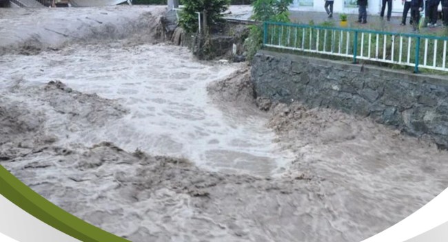 İhale tamamlandı…