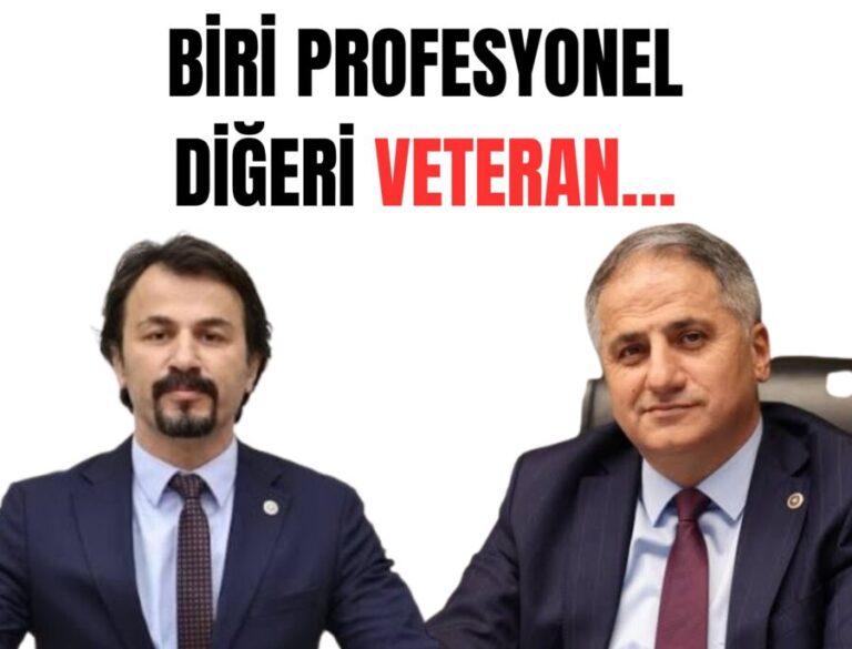 Biri Profesyonel, Biri Veteran…