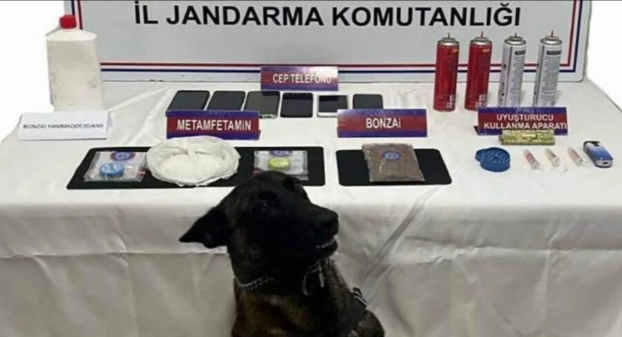 14 şüpheli yakalandı…