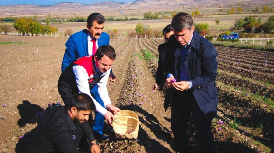 Yetkililer, sahtesine karşı uyardı…