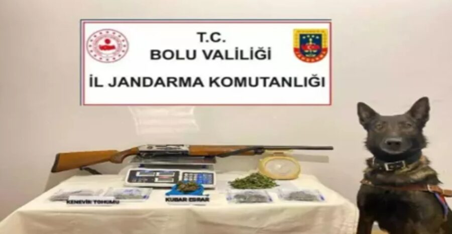 Bolu’da uyuşturucu operasyonu…