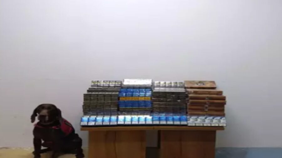 650 paket kaçak sigara ele geçirildi…