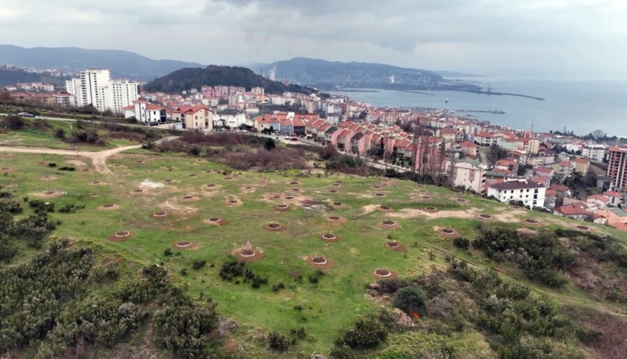 Yeni yaşam alanı projesi…